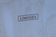 Large Decorative Floor Vases After Richard Klemm Dresden Made By Limoges - 4158464