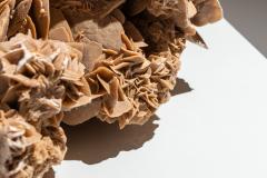 Large Desert Rose from Tunesia - 4308230
