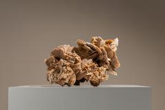 Large Desert Rose from Tunesia - 4308236