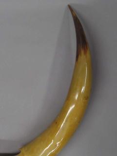 Large Dramatic Horn Sculpture - 1877190