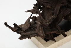 Large Driftwood Lamp on Custom Travertine Base  - 2979413