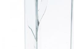 Large Glass Apothecary Jar - 4672023