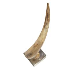 Large Majestic Horn Mounted On A Mirrored Cube Base 1970s - 3334588