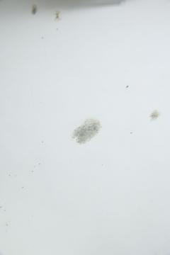 Large Octagonal Mirror - 4527569