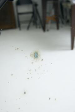 Large Octagonal Mirror - 4527570