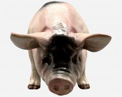 Large Pig In Ceramic Normandy France Circa 1930 - 4433360
