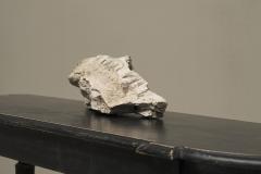 Large Prehistoric Natural Piece of Petrified Wood - 4468399