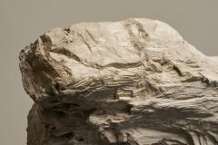 Large Prehistoric Natural Piece of Petrified Wood - 4468400