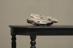 Large Prehistoric Natural Piece of Petrified Wood - 4468404