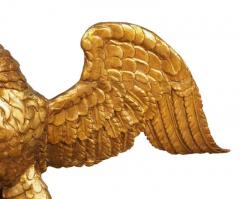 Large Regency Giltwood Eagle - 4140124