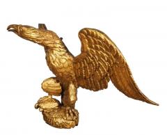 Large Regency Giltwood Eagle - 4140140