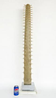 Large Sawfish Bill Rostrum Trophy Mounted on Chrome Lucite 1970s - 4045376