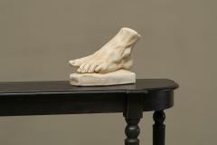 Large Scale Anatomical Study of a Foot in Plaster 1950s - 4396118