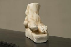 Large Scale Anatomical Study of a Foot in Plaster 1950s - 4396159