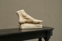 Large Scale Anatomical Study of a Foot in Plaster 1950s - 4396162