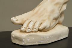 Large Scale Anatomical Study of a Foot in Plaster 1950s - 4396171