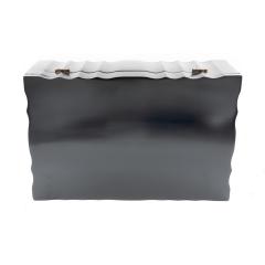 Large Scale Serpentine Ebony Box Anglo Indian Circa 1840 - 4532745