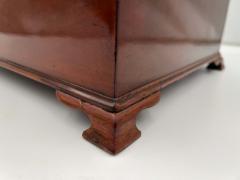 Large Victorian Box Mahogany on Oak England circa 1840 - 2780734