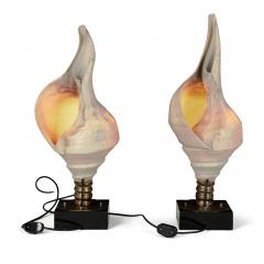 Large Vintage Conch Shell Lamps - 2530505