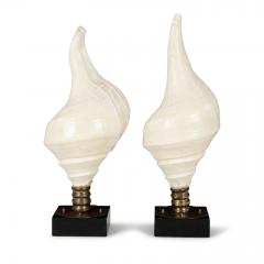 Large Vintage Conch Shell Lamps - 2530506