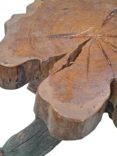 Large and Beautiful Mid Century Finnish Organic Natural Design Table 1950s - 4238984