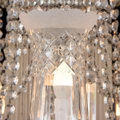 Large and Impressive Bohemian Cut and Frosted Glass Chandelier - 4744503