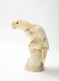 Large carved Alabaster Parrot  - 2112336