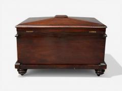 Late 18th Early 19th Century Wine Cooler Cellarette Rosewood Regency Lead - 4580176