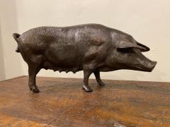 Late 19th Century Bronze Pig - 2549855