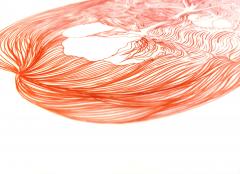 Laura Partin Coral Creature III - 4682806