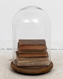 Leather Books in Glass Cloche - 2368975