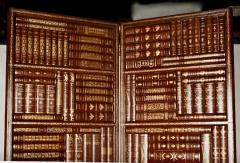 Leather Faux Book Two Panel Screen - 4226031