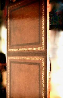 Leather Faux Book Two Panel Screen - 4226037