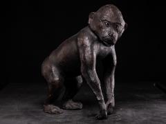 Leather walking Monkey Statue with Glass eyes - 4269950
