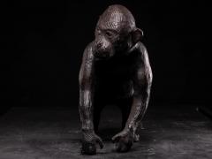Leather walking Monkey Statue with Glass eyes - 4269971