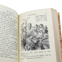 Lewis Carroll Alices Adventures in Wonderland and Through the Looking Glass by Lewis Carroll - 3937247