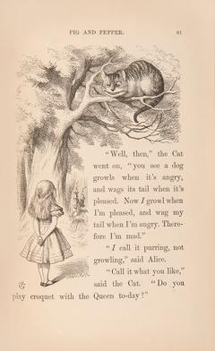 Lewis Carroll Alices Adventures in Wonderland by Lewis CARROLL - 3336373