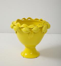 Limoni Yellow Planter - 4301693