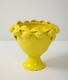 Limoni Yellow Planter - 4301696