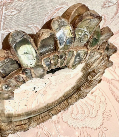 Line Vautrin Rare Mirrored Glass and Talosel Resin Gribiche Mirror by Line Vautrin - 4485255