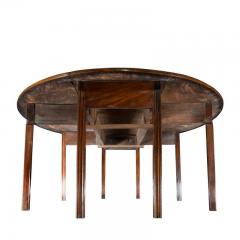 Long early George III Irish mahogany dining or wake table of exceptional colour - 1176035