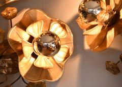 Lotus Lights - 1219366