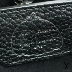 Louis Vuitton Louis Vuitton x Yayoi Kusama Capucine MM Bag - 3676356