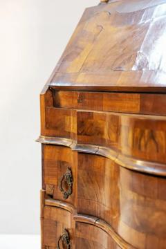 Louis XV Style Walnut Root Cabinet 19th Century - 3659818