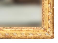 Louis XVI Giltwood Mirror - 4810176