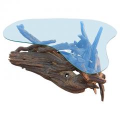 Louise Nevelson Superb Driftwood Mid Century Modern Coffee Table with Original Amoeba Glass Top - 2896768