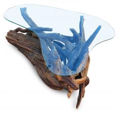 Louise Nevelson Superb Driftwood Mid Century Modern Coffee Table with Original Amoeba Glass Top - 2896773