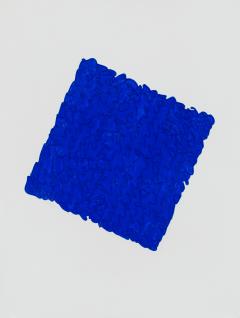Louise P Sloane Ultra Blue Aussie - 2752588