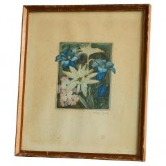 Lovely Framed Edelweiss Lithography Early 20th Century - 4528412