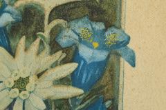 Lovely Framed Edelweiss Lithography Early 20th Century - 4528672